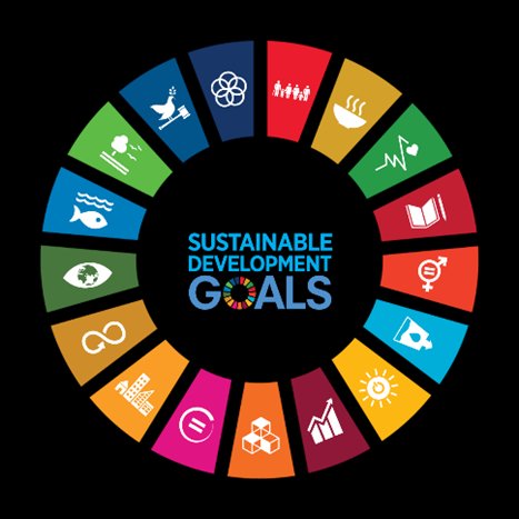 UN Sustainable Development Goals