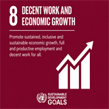 SDG 8