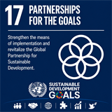 SDG 17